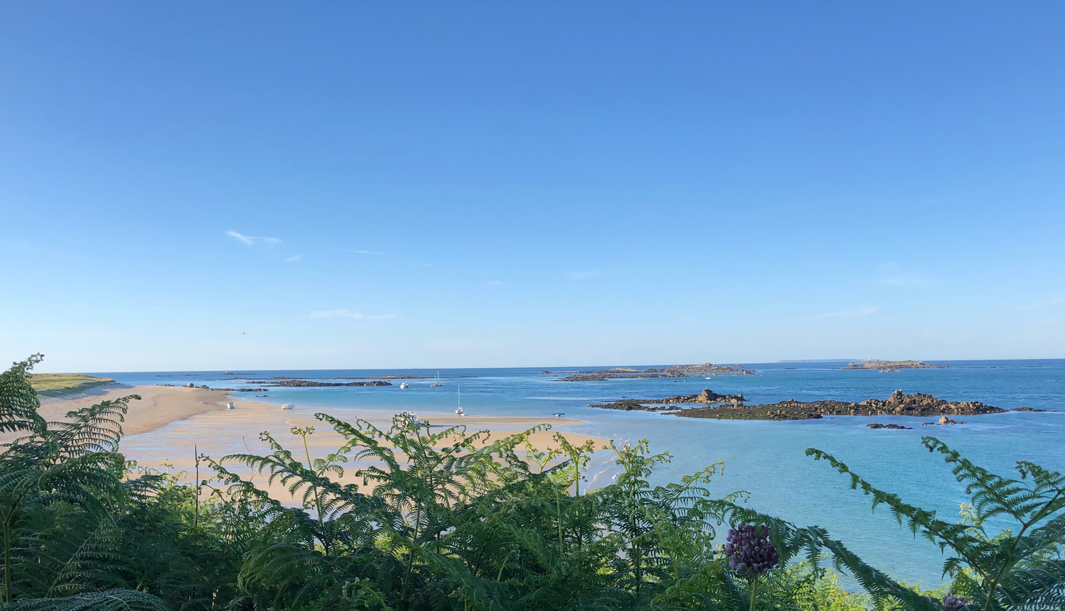 Therapeutic waves from a Guernsey cliff